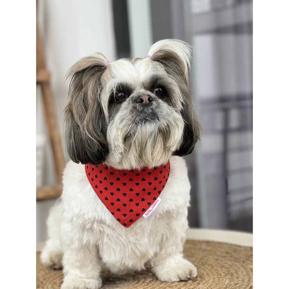 Pawgypets Heart Bandana for Dogs and Cats (Red)